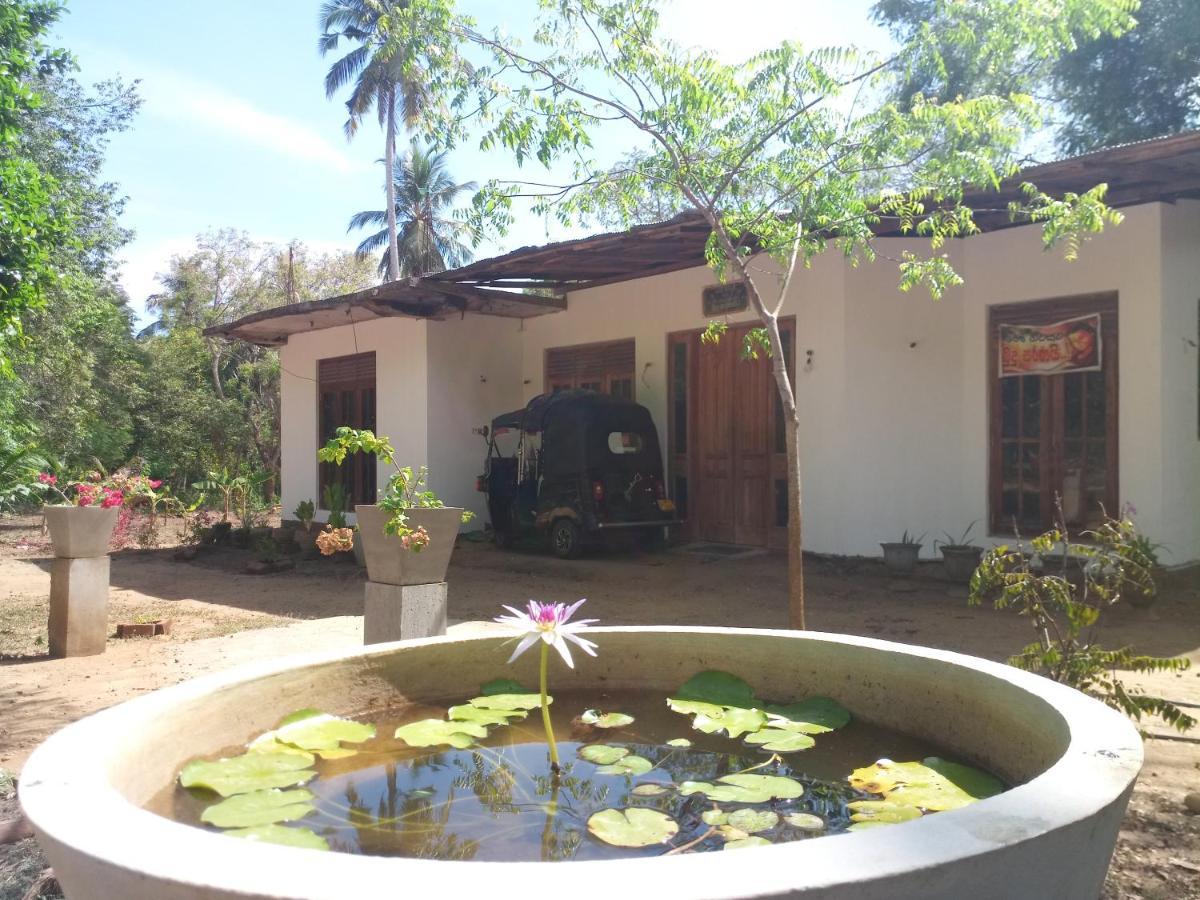 Silent Peacock Villa And Peacock Cafe Tangalle Extérieur photo